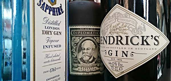 Welche Gin-Sorten passen gut in die Hausbar?