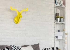 Hirschgeweih (depositphotos.com)